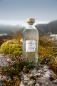 Preview: Tasting Alba Import